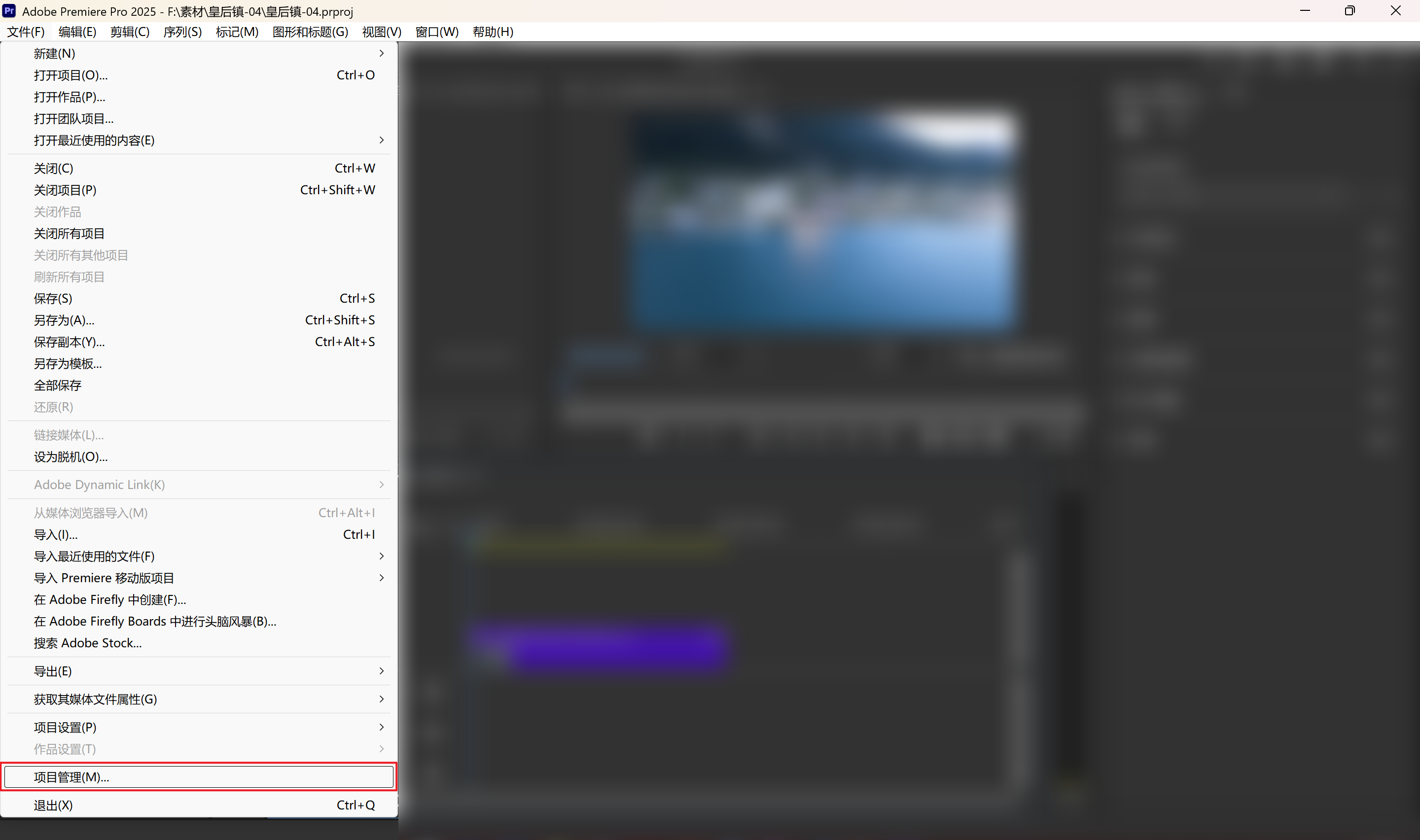 第二步 - 转到“文件” - “项目管理”